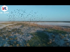 Elektrische Limousine