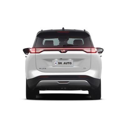 Batterie-Elektroauto-5-Sitze- 4 Türen Weltmeister W6 völlig elektrische Suv benutzte Lhd
