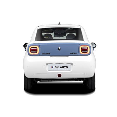 Schwarz-Cat Electric Cars 102km/H der Chinesischen Mauer ORA R1 hohe Geschwindigkeit