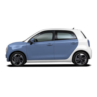 Schwarz-Cat Electric Cars 102km/H der Chinesischen Mauer ORA R1 hohe Geschwindigkeit