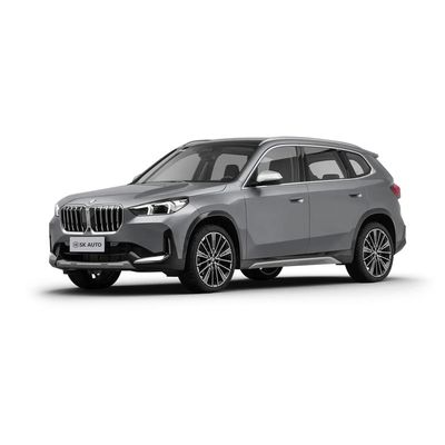 BMW X1 2.0T 204 PS L4 5-Türer SUV für Benzin-Gas-Auto-Enthusiasten