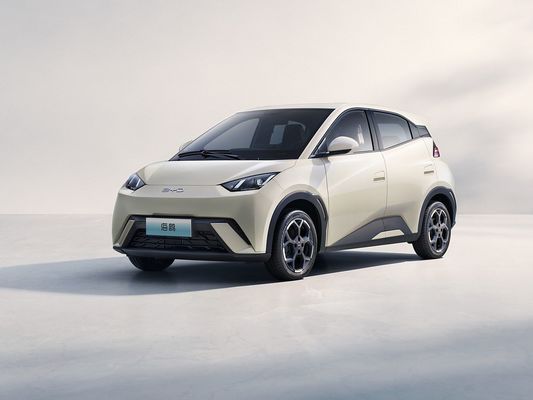 2025 Neues Modell BYD Seagull Schnellladendes Elektrofahrzeug Hot-Selling Mini EV Langstrecken- und große Batterie 405KM