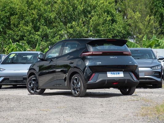 BYD Neues Modell Möwe Elektrische Mini-EV-Autos Schnellladung 2025 Kleinfahrzeug Langstreckenfahrt