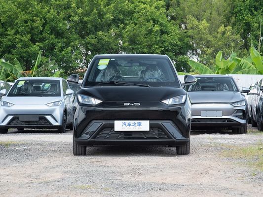 BYD Neues Modell Möwe Elektrische Mini-EV-Autos Schnellladung 2025 Kleinfahrzeug Langstreckenfahrt
